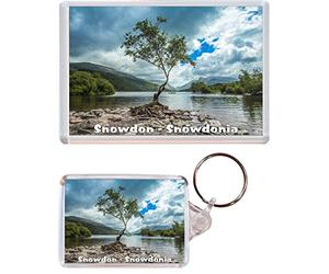 Baked Bean Store Snowdon - Snowdonia - 1 x Jumbo Fridge Magnet & 1 x Double Sided Large Keyring - Present Gift Souvenir Multi
