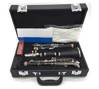 Bakelite A Clarinets E11 Professional Clarinet Silver Plated Keys 17 Keys With Case Mouthpiec Beginner Clarinet