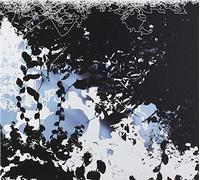 Baker, Aidan - Noise of Silence