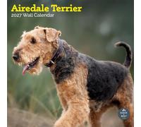 Baker and Bray Airedale Calendar 2027, Large | Large square 16-month wall calendar, ideal as a Airedale gift.