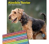 Baker and Bray Airedale Terrier Calendar 2027, Large with Stickers | Large square 16-month wall calendar with organisational stickers, ideal as a Airedale Terrier gift.