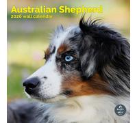 Baker and Bray Australian Shepherd Calendar 2026, Large Square Wall Calendar, 16 Month, Australian Shepherd Gift Dog Calendar.