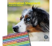 Baker and Bray Australian Shepherd Calendar 2026 With Organisational Stickers, Large Square Wall Calendar, 16 Month, Australian Shepherd Gift Dog Calendar