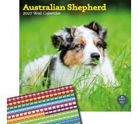 Baker and Bray Australian Shepherd Calendar 2027 Large with Stickers | Large square 16-month wall calendar with organisational stickers, ideal as an Australian Shepherd gift.