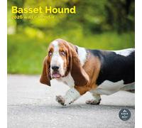 Baker and Bray Basset Hound Calendar 2026, Large Square Wall Calendar, 16 Month, Basset Hound Gift Dog Calendar