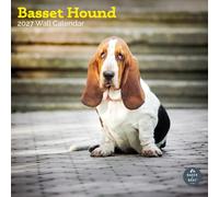 Baker and Bray Basset Hound Calendar 2027, Large | Large square 16-month wall calendar, ideal as a Basset Hound gift.