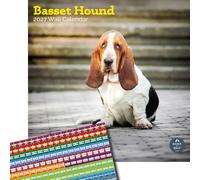 Baker and Bray Basset Hound Calendar 2027, Large with Stickers | Large square 16-month wall calendar with organisational stickers, ideal as a Basset Hound gift.