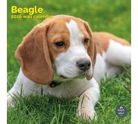 Baker and Bray Beagle Calendar 2026, Large Square Wall Calendar, 16 Month, Beagle Gift Dog Calendar