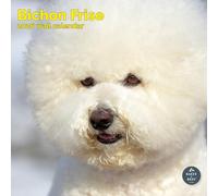 Baker and Bray Bichon Frise Calendar 2026, Large Square Wall Calendar, 16 Month, Bichon Frise Gift Dog Calendar