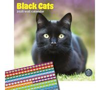 Baker and Bray Black Cats Calendar 2026, Large Square Wall Calendar With Organisational Stickers, 16 Month, Black Cats Gift Cat Calendar