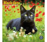 Baker and Bray Black Cats Calendar 2027, Large | Large square 16-month wall calendar, ideal as a Black Cats gift.