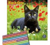 Baker and Bray Black Cats Calendar 2027, Large with Stickers | Large square 16-month wall calendar with organisational stickers, ideal as a Black Cats gift.
