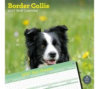 Baker And Bray Border Collie Calendar 2027, Large with Wall Planner | Large square 16-month wall calendar with wall planner, ideal as a Border Collie gift.