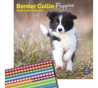 Baker and Bray Border Collie Puppies Calendar 2026, Large Square Wall Calendar With Organisational Stickers, 16 Month, Border Collie Puppies Gift Dog Calendar