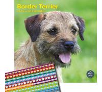 Baker And Bray Border Terrier Calendar 2026, Square Wall Calendar With Organisational Stickers, 16 Month, Border Terrier Gift Calendar