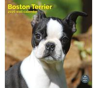 Baker and Bray Boston Terrier Calendar 2026, Large Square Wall Calendar, 16 Month, Boston Terrier Gift Dog Calendar.