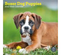 Baker and Bray Boxer Dog Puppies Calendar 2027, Large | Large square 16-month wall calendar, ideal as a Boxer Dog Puppies gift.