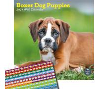 Baker and Bray Boxer Dog Puppies Calendar 2027, Large with Stickers