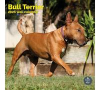 Baker and Bray Bull Terrier Calendar 2026, Large Square Wall Calendar, 16 Month, Bull Terrier Gift Dog Calendar.