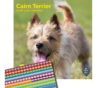 Baker and Bray Cairn Terrier Calendar 2026, Large Square Wall Calendar With Organisational Stickers, 16 Month, Cairn Terrier Gift Dog Calendar.