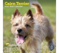 Baker and Bray Cairn Terrier Calendar 2027, Large