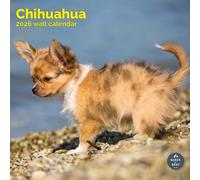 Baker and Bray Chihuahua Calendar 2026, Large Square Wall Calendar, 16 Month, Chihuahua Gift Dog Calendar