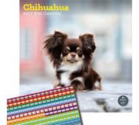 Baker and Bray Chihuahua Calendar 2027, Large with Stickers