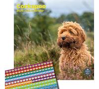 Baker and Bray Cockapoo Calendar 2026, Large Square Wall Calendar With Organisational Stickers, 16 Month, Cockapoo Gift Dog Calendar