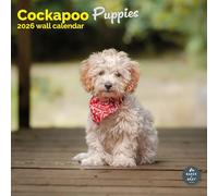 Baker and Bray Cockapoo Puppies Calendar 2026, Large Square Wall 16 Month, Cockapoo Puppies Gift Dog Calendar.