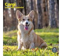 Baker and Bray Corgi Calendar 2026, Large Square Wall Calendar 16 Month, Corgi Gift Dog Calendar