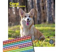 Baker and Bray Corgi Calendar 2026, Large Square Wall Calendar With Organisational Stickers 16 Month, Corgi Gift Dog Calendar