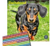 Baker and Bray Dachshund Calendar 2027, Large with Stickers