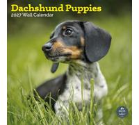 Baker and Bray Dachshund Puppies Calendar 2027, Large