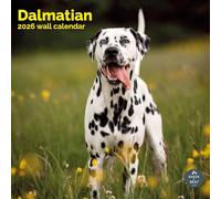 Baker and Bray Dalmatian Calendar 2026, Large Square Wall Calendar, 16 Month, Dalmatian Gift Dog Calendar.
