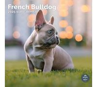 Baker and Bray French Bulldog Calendar 2025, Large Square Wall Calendar, 16 Month, French Bulldog Gift Dog Calendar