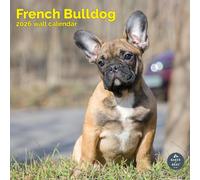 Baker and Bray French Bulldog Calendar 2026, Large Square Wall Calendar, 16 Month, French Bulldog Gift Dog Calendar