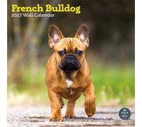 Baker and Bray French Bulldog Calendar 2027, Large | Large square 16-month wall calendar, ideal as a French Bulldog gift.