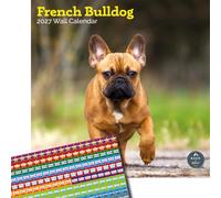 Baker and Bray French Bulldog Calendar 2027, Large with Stickers
