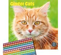Baker and Bray Ginger Cats Calendar 2026, Large Square Wall Calendar With Organisational Stickers, 16 Month, Ginger Cats Gift Cat Calendar