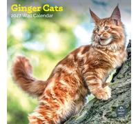 Baker and Bray Ginger Cats Calendar 2027, Large | Large square 16-month wall calendar, ideal as a Ginger Cats gift.