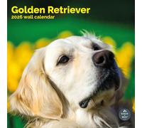 Baker and Bray Golden Retriever Calendar 2026, Large Square Wall Calendar, 16 Month, Golden Retriever Gift Dog Calendar
