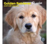 Baker and Bray Golden Retriever Puppies Calendar 2026, Large Square Wall Calendar, 16 Month, Golden Retriever Puppies Gift Dog Calendar
