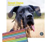 Baker and Bray Great Dane Calendar 2025, Large Square Wall Calendar, 16 Month, Great Dane Gift Dog Calendar.