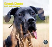 Baker and Bray Great Dane Calendar 2026, Large Square Wall 16 Month, Great Dane Gift Dog Calendar.