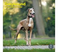 Baker and Bray Greyhound Calendar 2026, Large Square Wall Calendar, 16 Month, Greyhound Gift Dog Calendar