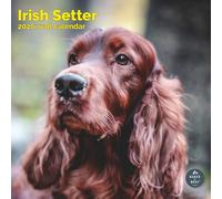 Baker and Bray Irish Setter Calendar 2026, Large Square Wall, 16 Month, Irish Setter Gift Dog Calendar.
