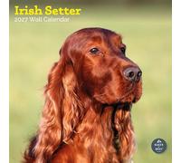 Baker and Bray Irish Setter Calendar 2027, Large | Large square 16-month wall calendar, ideal as a Irish Setter gift.