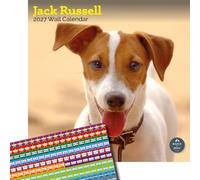Baker and Bray Jack Russell Calendar 2027, Large with Stickers