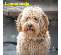 Baker and Bray Labradoodle Calendar 2027, Large