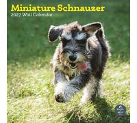 Baker and Bray Miniature Schnauzer Calendar 2027, Large